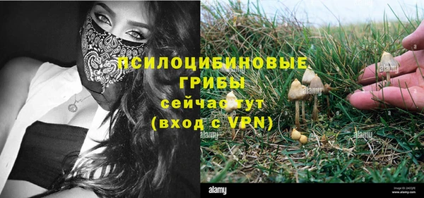 шишки Лабытнанги
