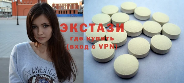 шишки Лабытнанги
