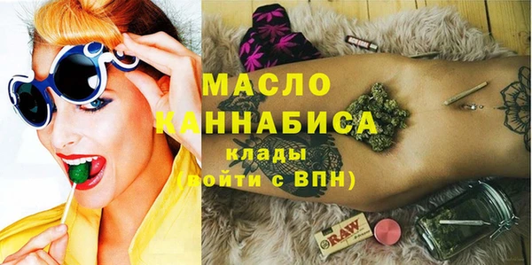 шишки Лабытнанги