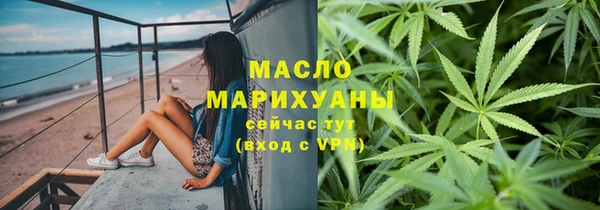 шишки Лабытнанги