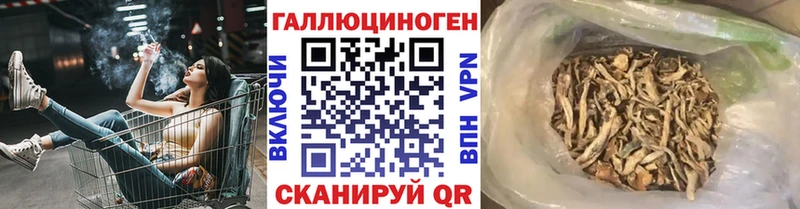 Псилоцибиновые грибы GOLDEN TEACHER  Абакан 